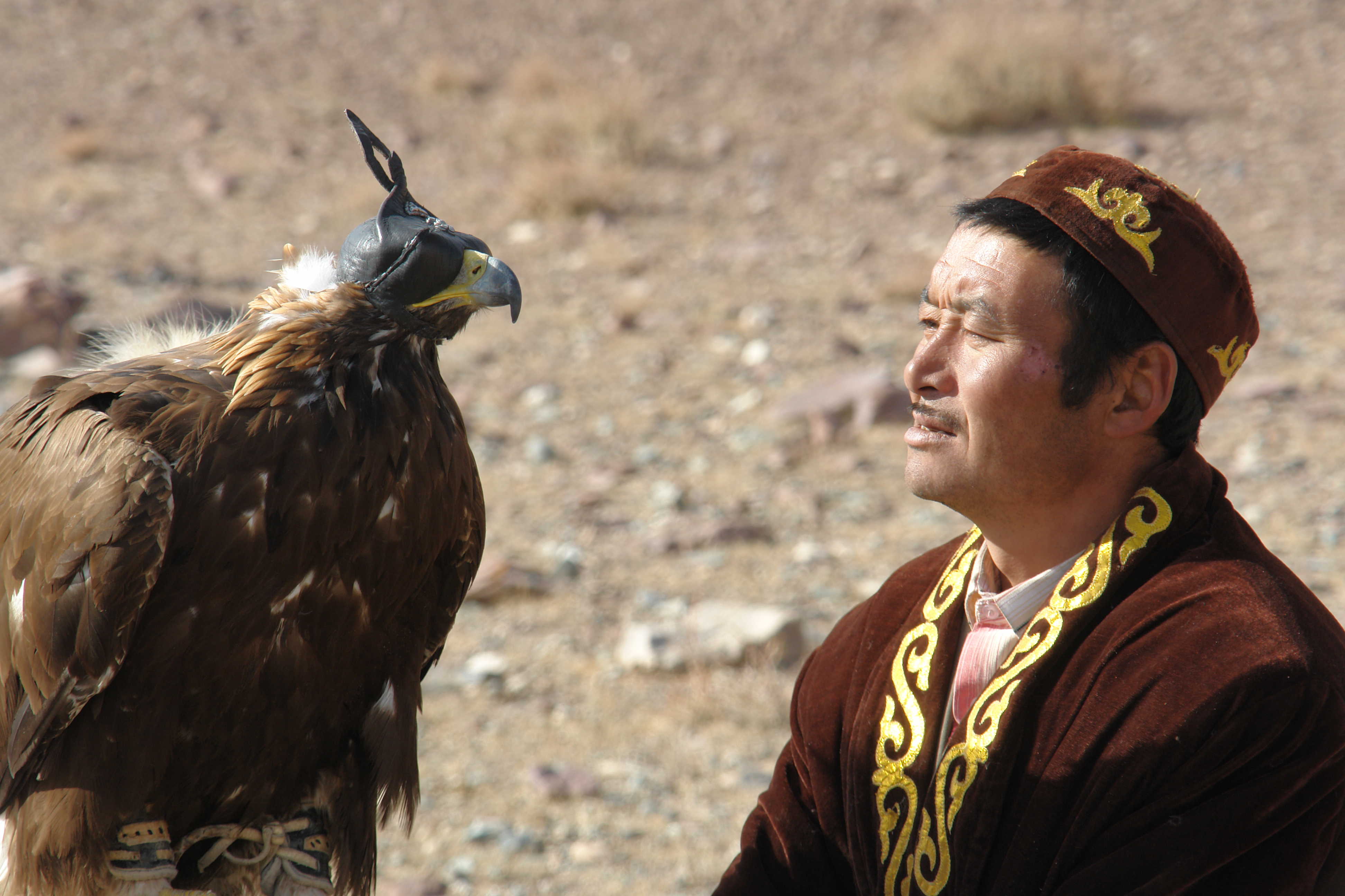 соколиная охота в киргизии